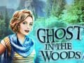 Παιχνίδι Ghost in the Woods