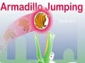 Παιχνίδι Armadillo Jumping