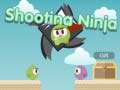 Παιχνίδι Shooting Ninja