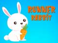 Παιχνίδι Runner Rabbit