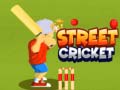 Παιχνίδι Street Cricket