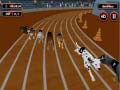 Παιχνίδι Crazyl Dog Racing Fever