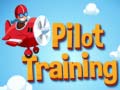 Παιχνίδι Pilot Training