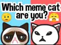 Παιχνίδι Which Meme Cat Are You?