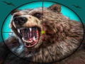 Παιχνίδι Wild Bear Hunting