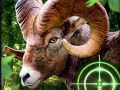 Παιχνίδι Crazy Goat Hunter 2020