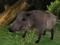 Παιχνίδι Wild boar Hunting