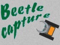 Παιχνίδι Beetle Capture