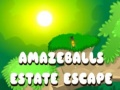 Παιχνίδι Amazeballs Estate Escape