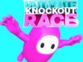 Παιχνίδι Ultimate Knockout Race