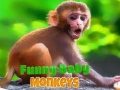 Παιχνίδι Funny Baby Monkey