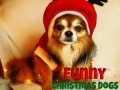 Παιχνίδι Funny Christmas Dogs