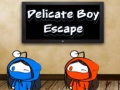 Παιχνίδι Delicate Boy Escape