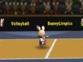 Παιχνίδι Bunny volleyball