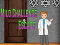 Παιχνίδι Amgel Mild Challenge Escape