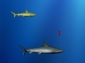 Παιχνίδι Lost shark