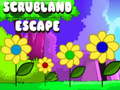 Παιχνίδι Scrubland Escape
