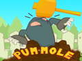 Παιχνίδι Pum-Mole