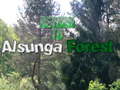 Παιχνίδι Return To Alsunga Forest