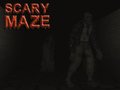 Παιχνίδι Scary Maze
