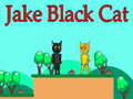 Παιχνίδι Jake Black Cat