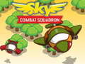 Παιχνίδι Sky Combat Squardom