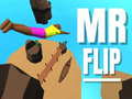Παιχνίδι Mr Flip