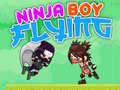 Παιχνίδι Ninja Boy Flying