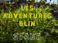 Παιχνίδι Les Adventures Blin