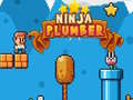 Παιχνίδι Ninja Plumber