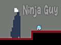 Παιχνίδι Ninja Guy