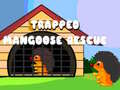 Παιχνίδι Trapped Mangoose Rescue