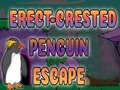Παιχνίδι Erect Crested Penguin Escape