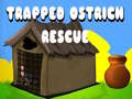 Παιχνίδι Trapped Ostrich Rescue