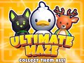 Παιχνίδι Ultimate Maze! Collect Them All!