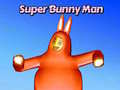 Παιχνίδι Super Bunny Man