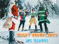 Παιχνίδι Ski Resort Hidden Snowflakes