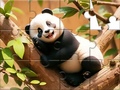 Παιχνίδι Jigsaw Puzzle: Panda On Tree