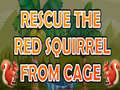 Παιχνίδι Rescue The Red Squirrel From Cage