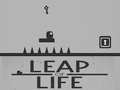 Παιχνίδι Leap of Life