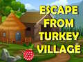 Παιχνίδι Escape From Turkey Village