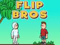 Παιχνίδι Flip Bros
