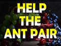 Παιχνίδι Help The Ant Pair