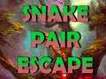 Παιχνίδι Snake Pair Escape