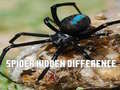 Παιχνίδι Spider Hidden Difference