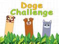 Παιχνίδι Doge Challenge