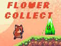 Παιχνίδι Flower Collect