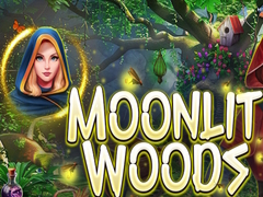 Παιχνίδι Moonlit Woods