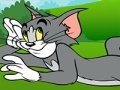 Παιχνίδι Tom and Jerry ATV Adventure