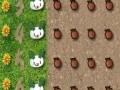 Παιχνίδι Cute Rabbit Zuma